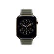 Apple 46mm Sage Gray Magnetic Link - S/M Apple