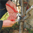 Felco One-hand pruning shear FELCO 13