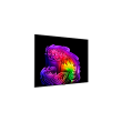 LG OLED 4K AI G6 TV OLED77G61LW 77