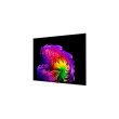 LG OLED 4K AI G6 TV OLED83G61LW 83