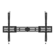Neomounts Wall mount WL35S-950BL19 Tilt, Height adjustment, Width adjustment, Rotate