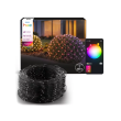 Philips Hue Festavia Net Lighting, 1 x 3.5 m, 250 LEDs, EU White and color Bluetooth, Zigbee