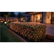 Philips Hue Festavia Net Lighting, 1 x 3.5 m, 250 LEDs, EU White and color Bluetooth, Zigbee