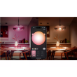 Philips Hue E WCA 806 A60 1P EU E27 8 W