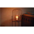 Philips Hue WCA 810 A60 2P EU E27 6 W