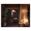 Philips Hue W 1100 A60 2P EU E27 9.5 W