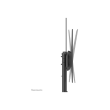 Neomounts Floor stand | PLASMA-M1950E TV trolley | Adjustable Height