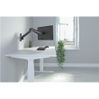Digitus Wall mount | DA-90425 | Tilt