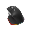 Acer Easy Fit wireless Mouse |2.4GHz and BT5.0 | Black | Acer