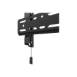 Neomounts Wall mount | WL30S-850BL12 TV mount | Micro adjustment | 24-65 " | Maximum weight (capacit