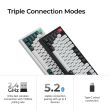KEYBOARD WRL Q5 HE RGB/SHELL WHITE Q5H-P1 KEYCHRON