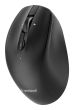 MOUSE USB OPTICAL WRL/MUSW2-6B-02 GEMBIRD