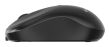 MOUSE USB OPTICAL WRL/MUSW2-4B-01 GEMBIRD