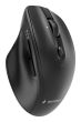 MOUSE USB OPTICAL WRL/MUSW2-6B-02 GEMBIRD