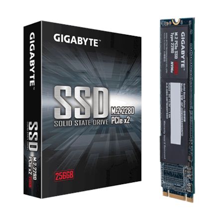 Gigabyte GP-GSM2NE8256GNTD 256 GB