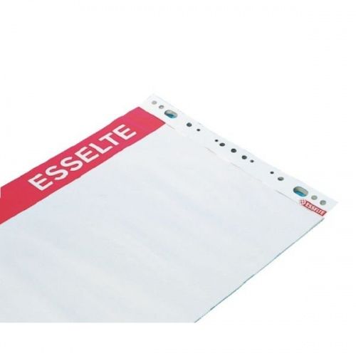 Konferencinis bloknotas Esselte, 59x80 cm, 60 g, baltas (50 lapų)