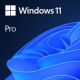 Software MICROSOFT Win 11 Pro 64Bit Eng Intl 1pk DSP OEI DVD Win Pro OEM English