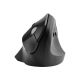 KENSINGTON K75501EU Kensington Pro Fit E – 2