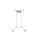 Neomounts Floor stand FL55-875WH1 TV trolley Adjustable Height 55-100" – 3