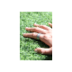 Ultrahuman Ring Air Raw Titanium Size 9 – 6