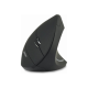 Acer Vertical Ergonomic Mouse, Retail pack Wireless 2.4 GHz