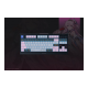 Razer BlackWidow V4 Tenkeyless Gaming Keyboard Wireless