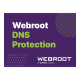 Webroot DNS Protection with GSM Console 2 year(s) License quantity 10-99 user(s)