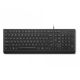 Lenovo Essential Wired Keyboard Us Euro (copilot)