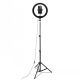Celly Ring Professional Tripod With Light – 5
