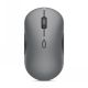 Lenovo 700 Multi-device Wireless Silent Mouse (luna Grey)