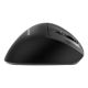 MOUSE USB OPTICAL WRL/MUSW3-9B-01 GEMBIRD – 7