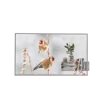 LG Digital Signage 55EW5P 55"