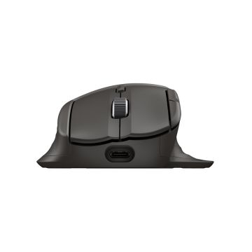 HP Ultra-Fast Scroll Wireless Mouse 785M
