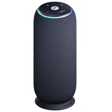 Motorola Sound Flow Carbon