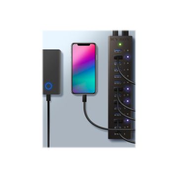 ICY BOX IB-AC6113 13x Port USB 3.0 Hub