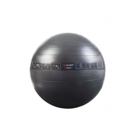 Pure2Improve P2I200080 Exercise Ball