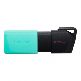 Kingston USB Flash Drive DataTraveler Exodia 256 GB