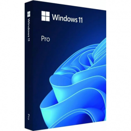 Microsoft Windows 11 Pro 	HAV-00163