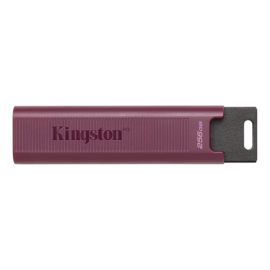 Kingston USB 3.2 Flash Drive  DataTraveler MAX 256 GB