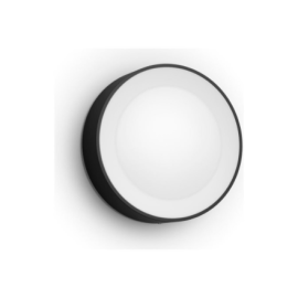 Philips Hue WCA Daylo Outdoor Wall Lantern