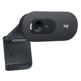 Internetinė kamera Logitech C505 HD USB  (960-001364),