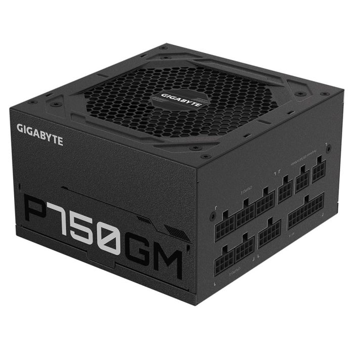 Power Supply GIGABYTE GP-P750GM Efficiency 80 PLUS GOLD PFC Active – 3
