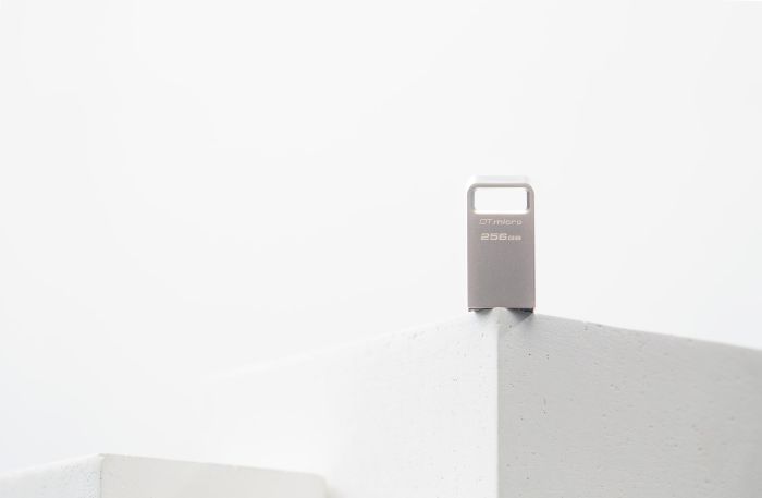 MEMORY DRIVE FLASH USB3.2 256G/MICRO DTMC3G2/256GB KINGSTON – 11