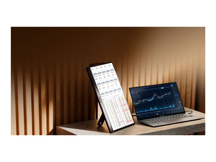 ASUS ZenScreen MB169CK Portable 15.6inch – 3