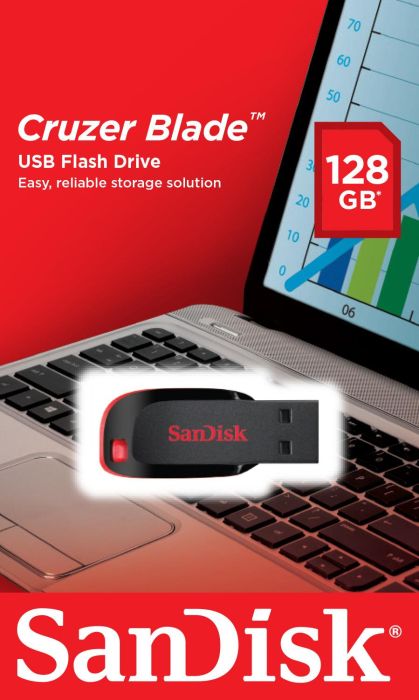 MEMORY DRIVE FLASH USB2 128GB/SDCZ50-128G-B35 SANDISK – 9