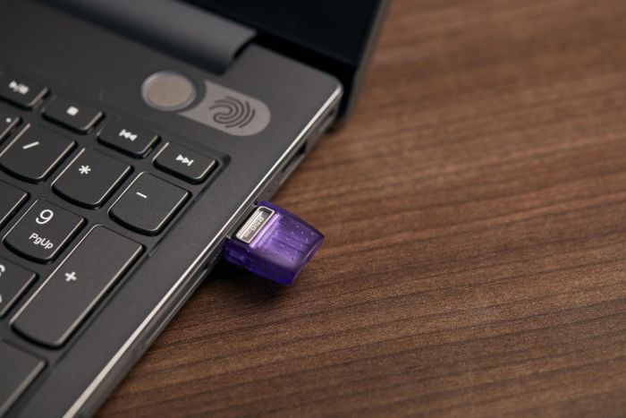 MEMORY DRIVE FLASH USB3.2/256GB DTDUO3CG3/256GB KINGSTON – 9