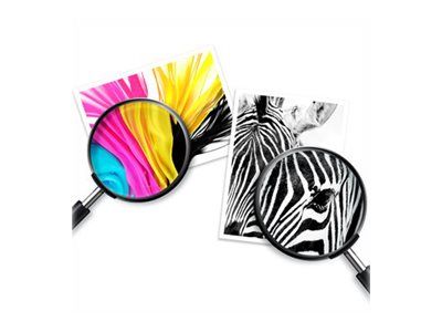 HP 650 Tri-color Ink Cartridge – 4