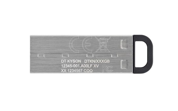 MEMORY DRIVE FLASH USB3.2/256GB DTKN/256GB KINGSTON – 2