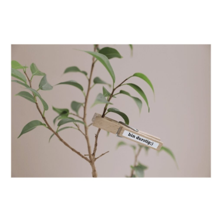 Brother TZe-S211 Strong Adhesive Laminated Tape Black on White 8 m – 6