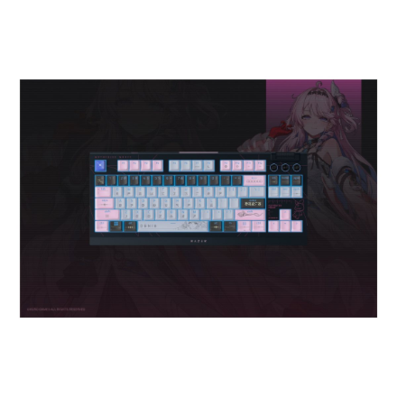 Razer BlackWidow V4 Tenkeyless Gaming Keyboard Wireless